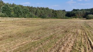 Baugrundstück zu verkaufen in Strzelczyn zdjęcie 7