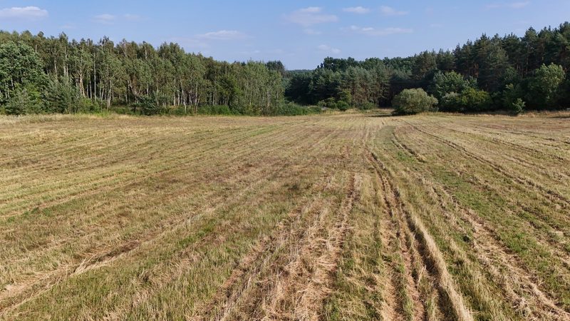 Działka na sprzedaż 9 501 m²: Działka budowlana przy lesie w Strzelczynie, 9 km od Trzcińska-Zdroju