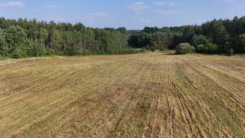 Działka na sprzedaż 15 109 m²: Dwie działki budowlane przy lesie w Strzelczynie, 9 km od Trzcińska-Zdroju