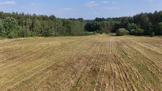 Baugrundstücke zu verkaufen in Strzelczyn zdjęcie 4