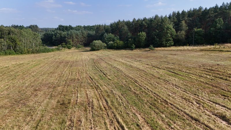 Działka na sprzedaż 15 109 m²: Dwie działki budowlane przy lesie w Strzelczynie, 9 km od Trzcińska-Zdroju