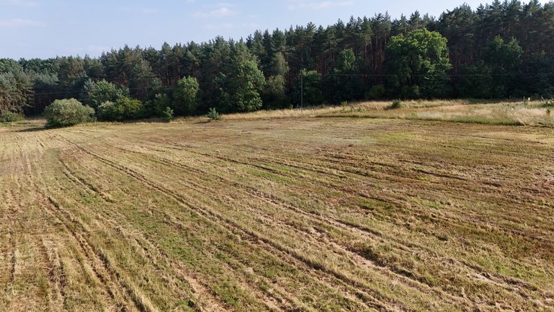 Działka na sprzedaż 15 109 m²: Dwie działki budowlane przy lesie w Strzelczynie, 9 km od Trzcińska-Zdroju