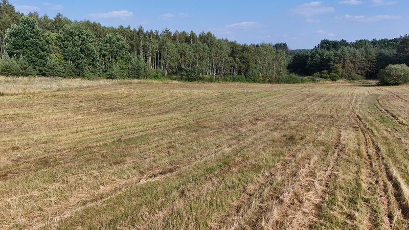 Działka na sprzedaż 15 109 m²: Dwie działki budowlane przy lesie w Strzelczynie, 9 km od Trzcińska-Zdroju