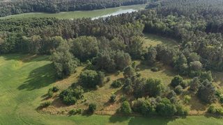 Działka budowlana blisko jeziora Stobnica w Krzowcu pod Choszcznem, zdjęcie 2