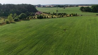 Działka budowlana blisko jeziora Stobnica w Krzowcu pod Choszcznem, zdjęcie 13