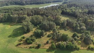 Działka budowlana blisko jeziora Stobnica w Krzowcu pod Choszcznem, zdjęcie 3