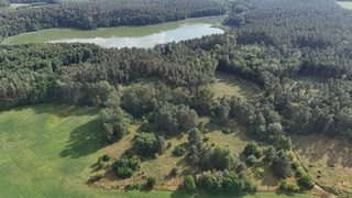 Działka budowlana blisko jeziora Stobnica w Krzowcu pod Choszcznem, zdjęcie 5
