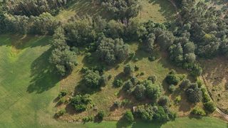 Działka budowlana blisko jeziora Stobnica w Krzowcu pod Choszcznem, zdjęcie 6