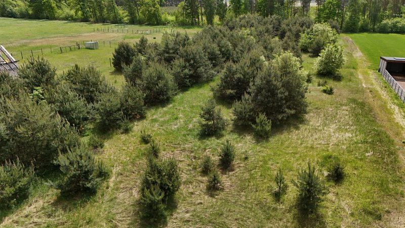 Działka na sprzedaż 894 m²: Działki budowlane na sprzedaż w Sędraszycach, 4 km od Cieszkowa