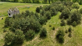 Działki budowlane na sprzedaż w Sędraszycach, 4 km od Cieszkowa zdjęcie 8