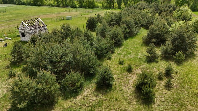 Działka na sprzedaż 894 m²: Działki budowlane na sprzedaż w Sędraszycach, 4 km od Cieszkowa