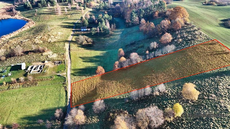 Działka na sprzedaż 8 100 m²: Działka budowlana na sprzedaż w Sikorach