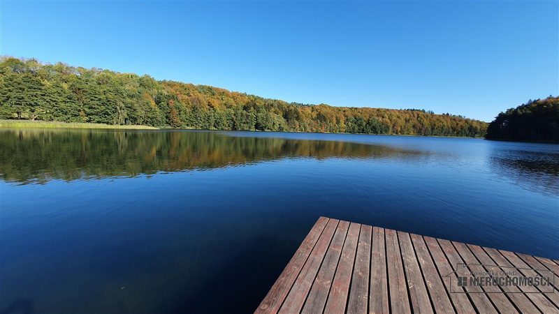 Działka na sprzedaż 8 100 m²: Działka budowlana na sprzedaż w Sikorach