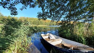 Baugrundstück zu verkaufen in Sikory zdjęcie 14
