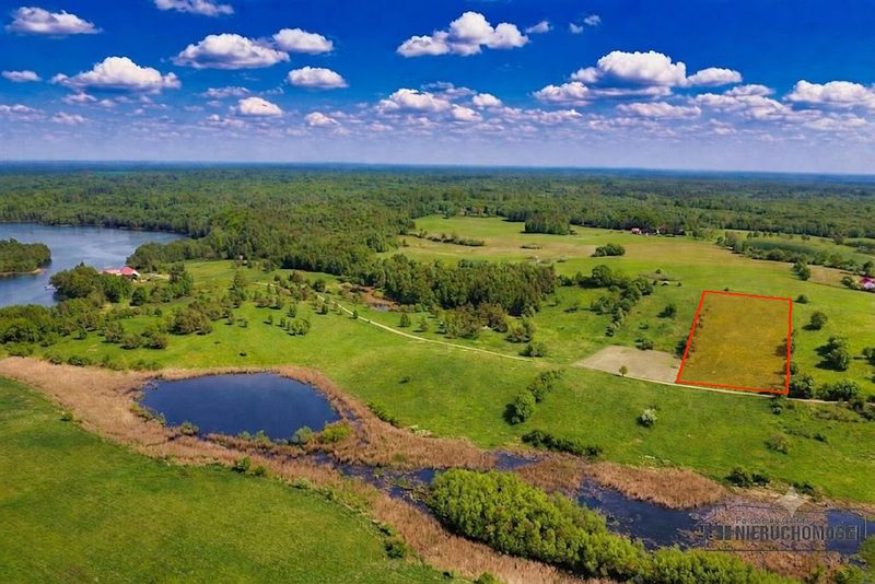 Działka na sprzedaż 8 100 m²: Działka budowlana na sprzedaż w Sikorach