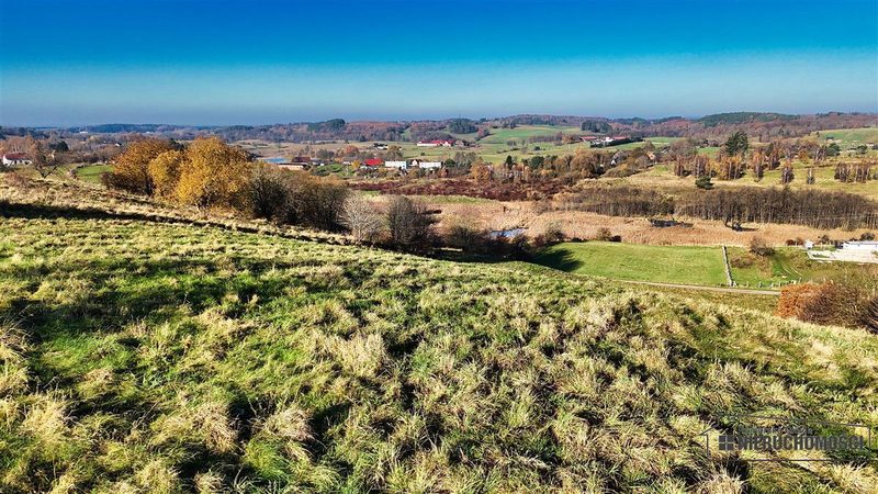 Działka na sprzedaż 8 100 m²: Działka budowlana na sprzedaż w Sikorach