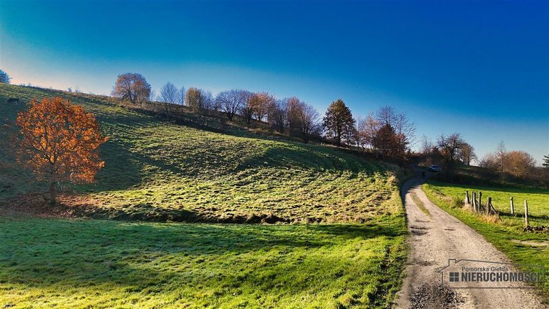 Działka na sprzedaż 8 100 m²: Działka budowlana na sprzedaż w Sikorach