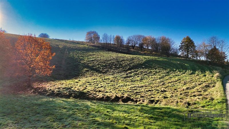 Działka na sprzedaż 8 100 m²: Działka budowlana na sprzedaż w Sikorach