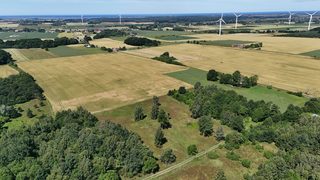 Działka rolna blisko morza w Jeżyczkach pod Darłowem, zdjęcie 6