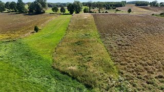 Działka rolna w Krzemieniu, Iński Park Krajobrazowy, 7,5 km od Dobrzan, zdjęcie 13