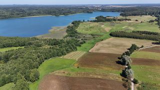 Działka rolna w Krzemieniu, Iński Park Krajobrazowy, 7,5 km od Dobrzan, zdjęcie 9