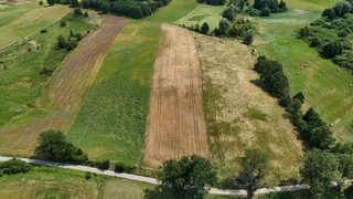 Działka budowlana pod siedlisko w Krzemieniu, 9 km od Dobrzan, zdjęcie 3