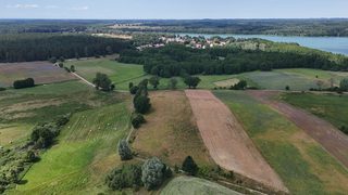 Działka budowlana pod siedlisko w Krzemieniu, 9 km od Dobrzan, zdjęcie 10