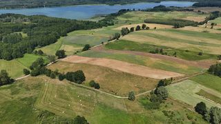 Działka budowlana pod siedlisko w Krzemieniu, 9 km od Dobrzan, zdjęcie 5