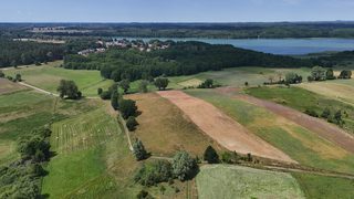 Działka budowlana pod siedlisko w Krzemieniu, 9 km od Dobrzan, zdjęcie 8