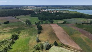 Działka budowlana pod siedlisko w Krzemieniu, 9 km od Dobrzan, zdjęcie 9