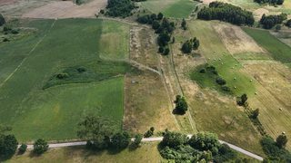 Działka rolna na Pojezierzu Ińskim w Krzemieniu pod Dobrzanami, zdjęcie 8