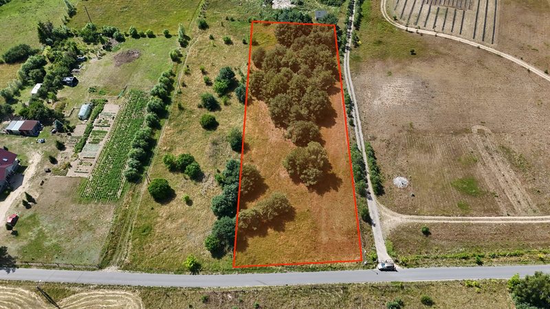 Działka na sprzedaż 4 844 m²: Działka budowlana na sprzedaż w Sierakowie
