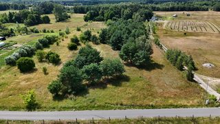 Baugrundstück zu verkaufen in Sierakowo zdjęcie 7