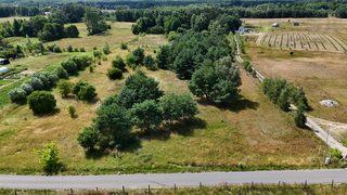 Baugrundstück zu verkaufen in Sierakowo zdjęcie 8