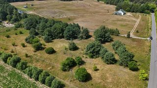 Baugrundstück zu verkaufen in Sierakowo zdjęcie 9