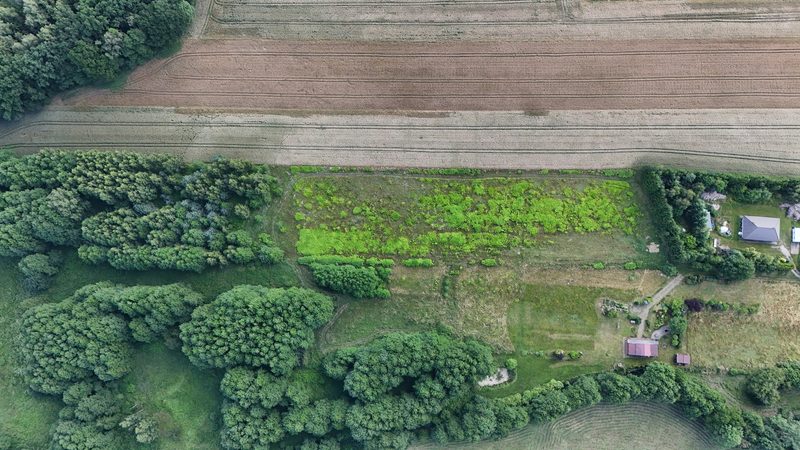 Działka na sprzedaż 1 300 m²: Działki budowlane na sprzedaż w Wołowcu