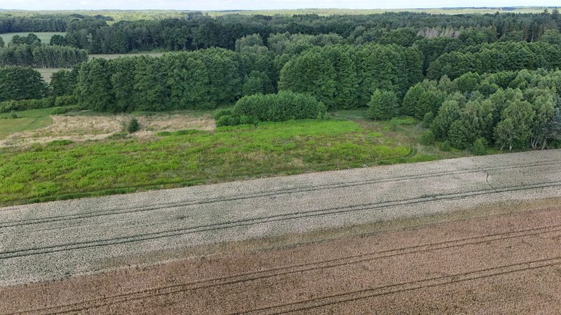 Działka na sprzedaż 1 300 m²: Działki budowlane na sprzedaż w Wołowcu