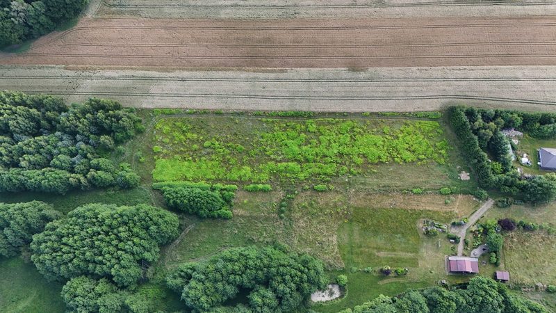 Działka na sprzedaż 1 300 m²: Działki budowlane na sprzedaż w Wołowcu