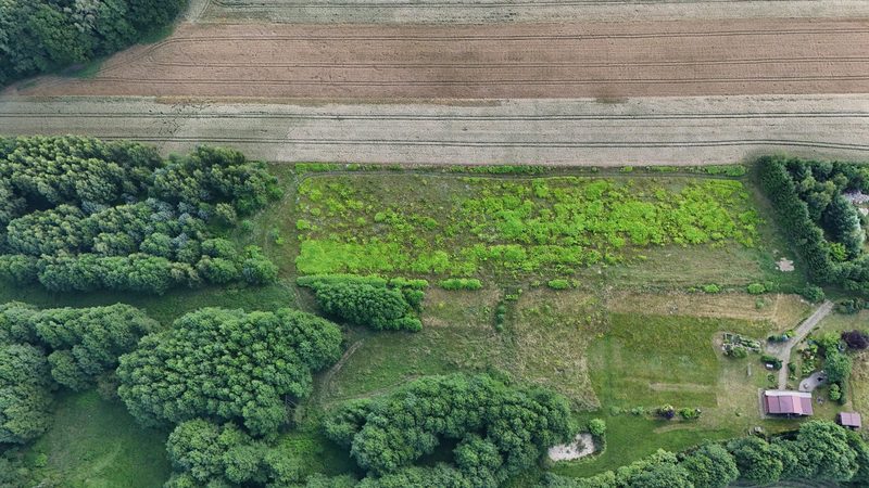 Działka na sprzedaż 1 300 m²: Działki budowlane na sprzedaż w Wołowcu