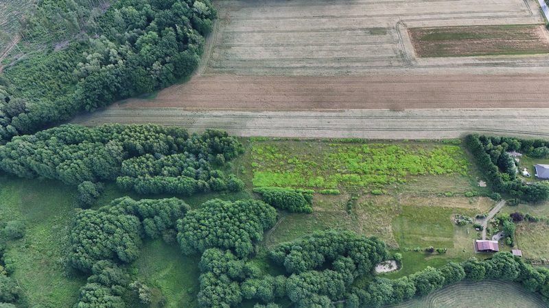 Działka na sprzedaż 1 300 m²: Działki budowlane na sprzedaż w Wołowcu