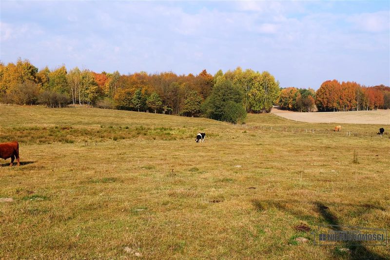 Działka na sprzedaż 2 100 m²: Działki budowlane na sprzedaż w Mieszałkach