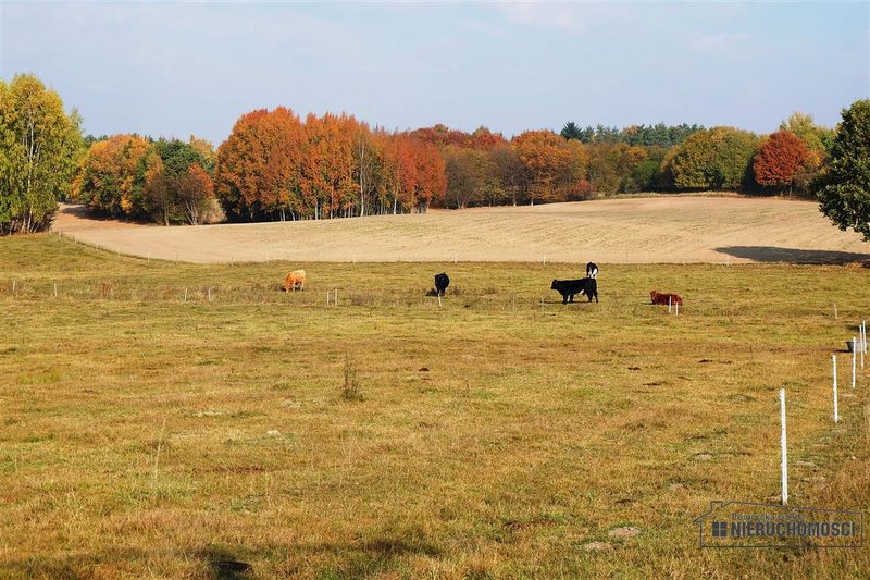 Działka na sprzedaż 2 100 m²: Działki budowlane na sprzedaż w Mieszałkach