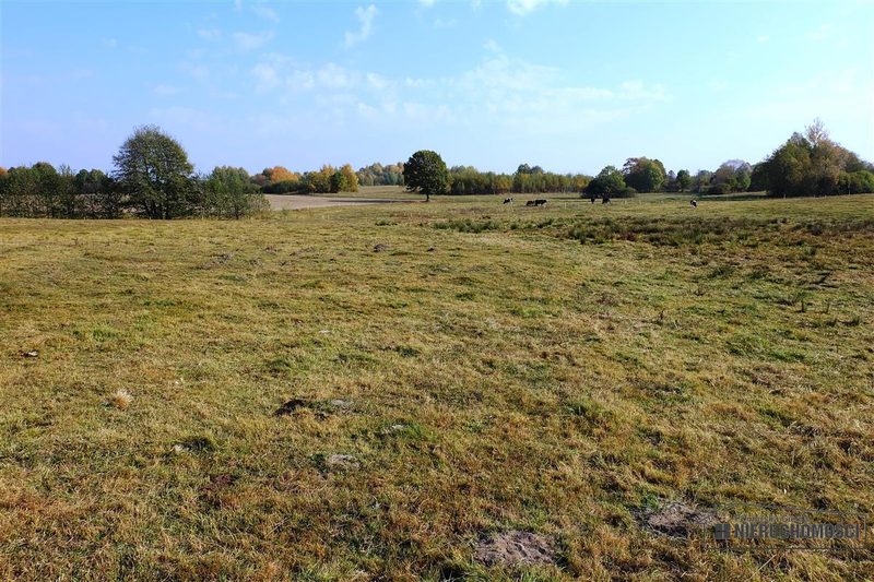 Działka na sprzedaż 2 100 m²: Działki budowlane na sprzedaż w Mieszałkach