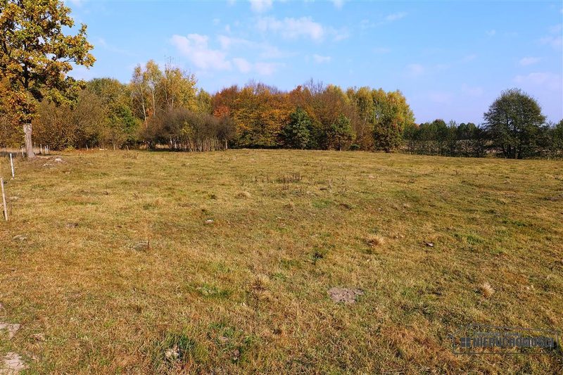 Działka na sprzedaż 2 100 m²: Działki budowlane na sprzedaż w Mieszałkach