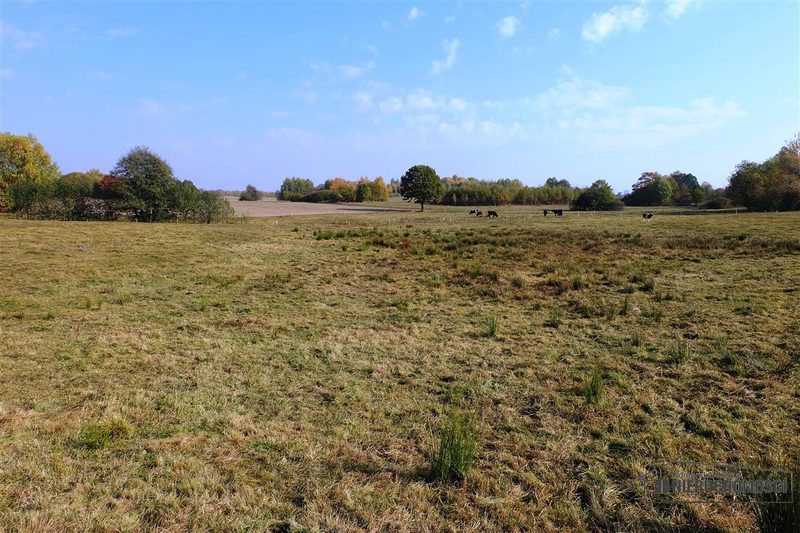 Działka na sprzedaż 2 100 m²: Działki budowlane na sprzedaż w Mieszałkach