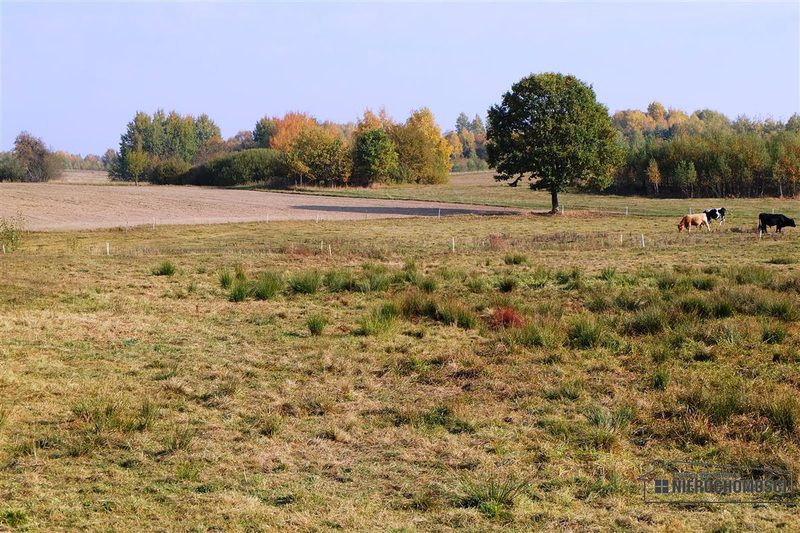 Działka na sprzedaż 2 100 m²: Działki budowlane na sprzedaż w Mieszałkach