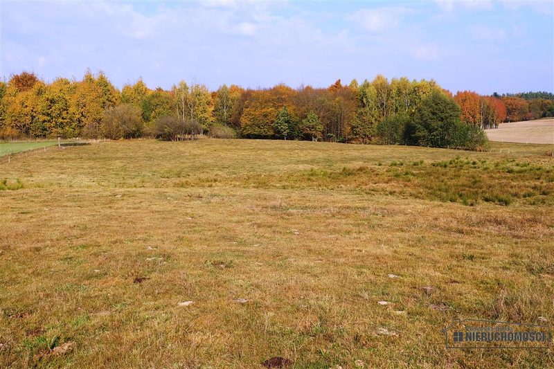 Działka na sprzedaż 2 100 m²: Działki budowlane na sprzedaż w Mieszałkach