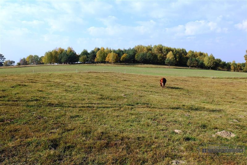Działka na sprzedaż 2 100 m²: Działki budowlane na sprzedaż w Mieszałkach