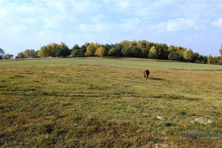 Działki budowlane na sprzedaż w Mieszałkach zdjęcie 9