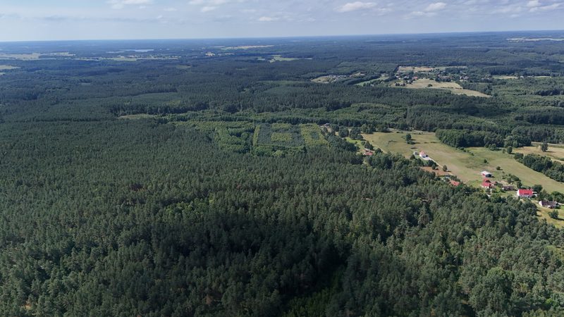 Działka na sprzedaż 944 m²: Działka budowlana na sprzedaż w Przeradzu